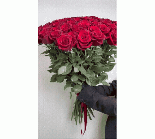 75 красных роз Explorer