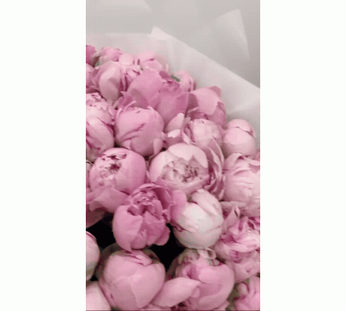 Сара Бернар