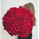 75 красных роз Explorer