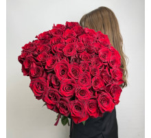 Алый Восход