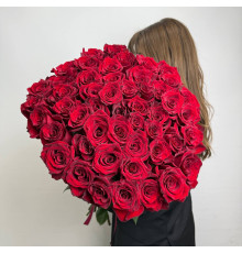 Алый Восход