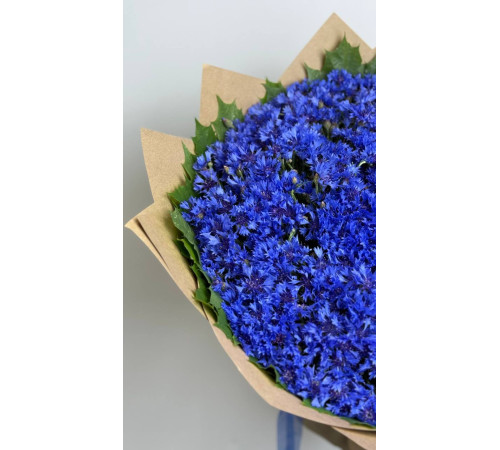 Небесная Лазурь