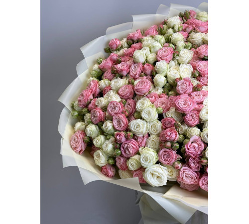 Рассветная нега