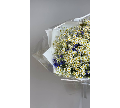 Полевые цветы