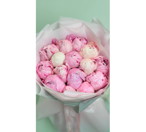 15 пионов Сара Бернар