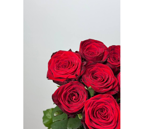 Эквадорская розочка