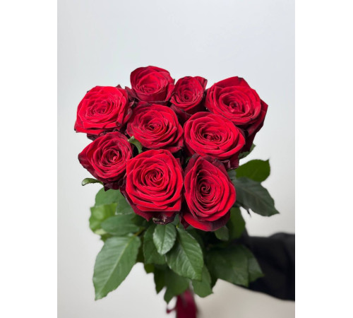 Эквадорская розочка