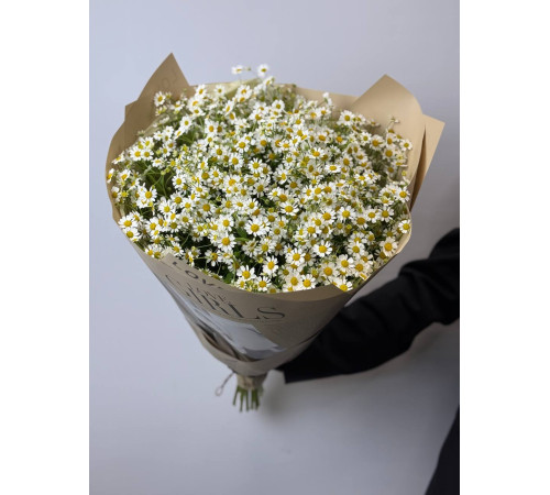 Букет из танацетума-ромашки