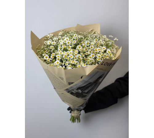 Букет из танацетума-ромашки