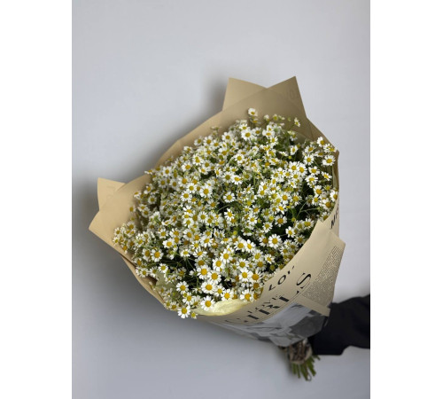 Букет из танацетума-ромашки