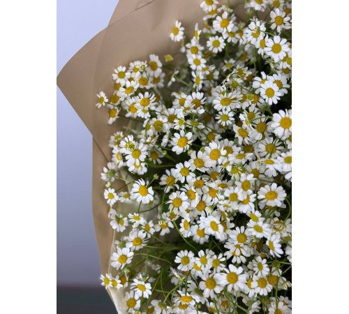 Букет из танацетума-ромашки