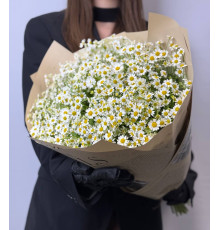 Букет из танацетума-ромашки