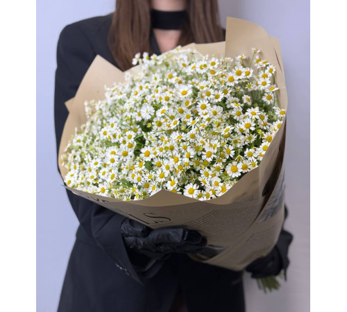 Букет из танацетума-ромашки