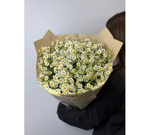 Букет из танацетума-ромашки