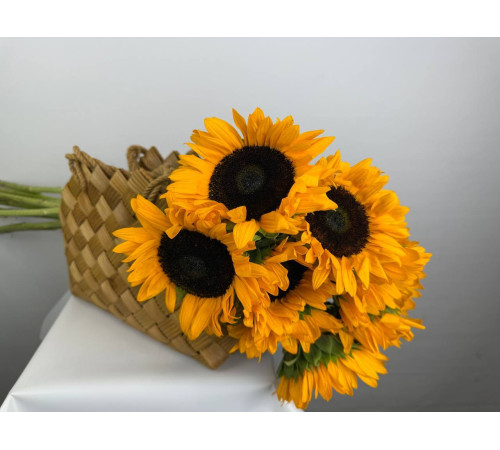 Сумочка с подсолнухами