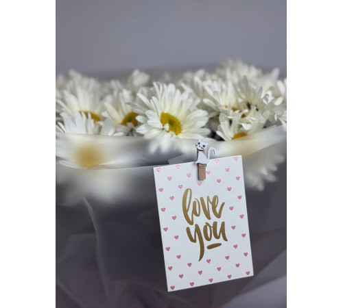 Солнечная крупная ромашка