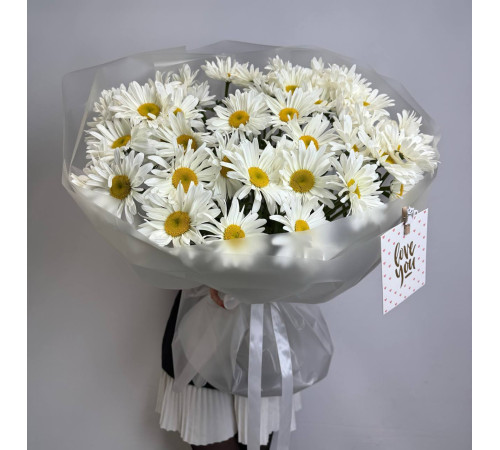 Солнечная крупная ромашка