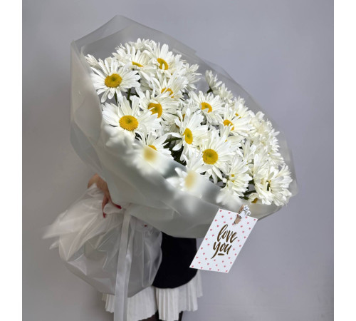 Солнечная крупная ромашка