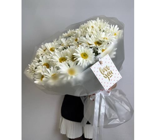 Солнечная крупная ромашка