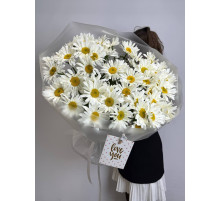 Солнечная крупная ромашка