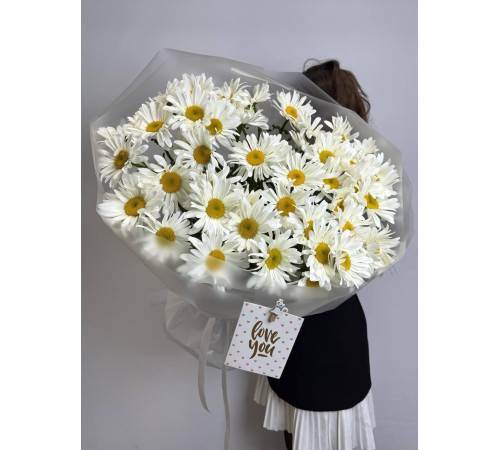 Солнечная крупная ромашка