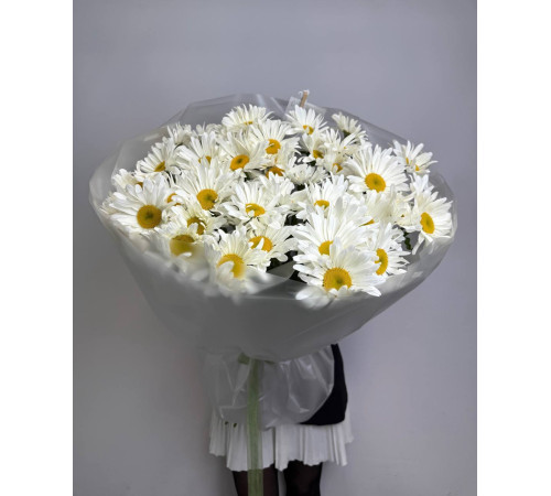 Ромашка крупная