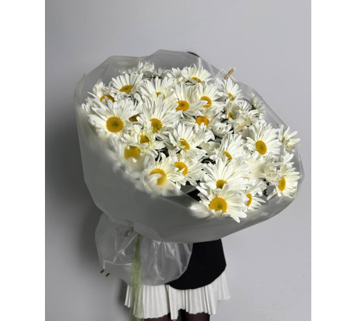 Ромашка крупная