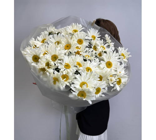 Ромашка крупная