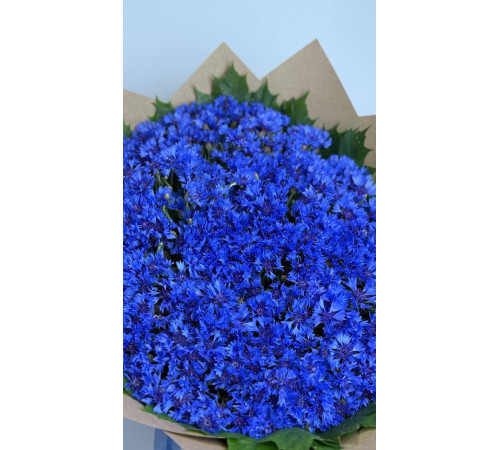 Небесная Лазурь