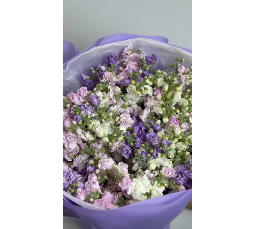 Лавандовый Шёпот