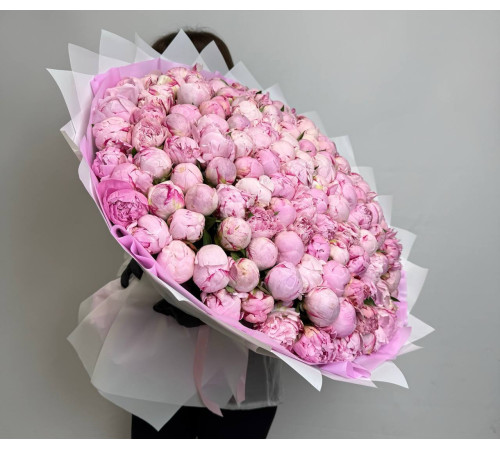 Потрясающая Сара