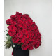 75 красных роз Explorer