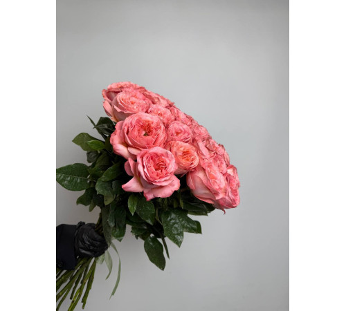 Персидская Королева