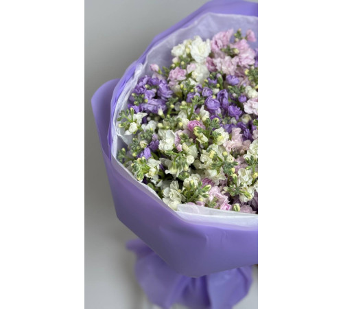 Лавандовый Шёпот