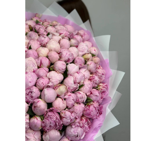 Потрясающая Сара