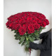 75 красных роз Explorer