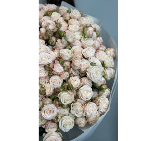 Кремовая любовь