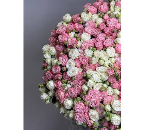 Рассветная нега