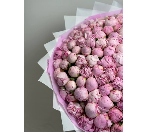 Потрясающая Сара