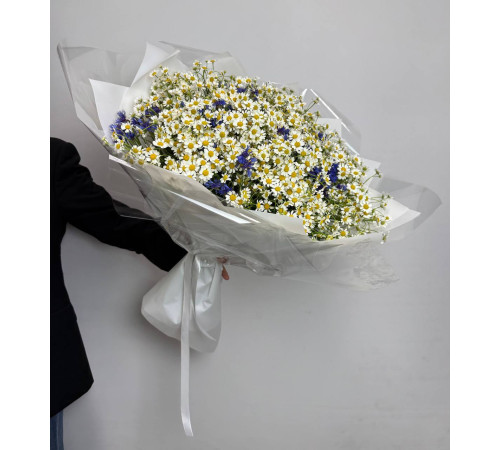 Полевые цветы