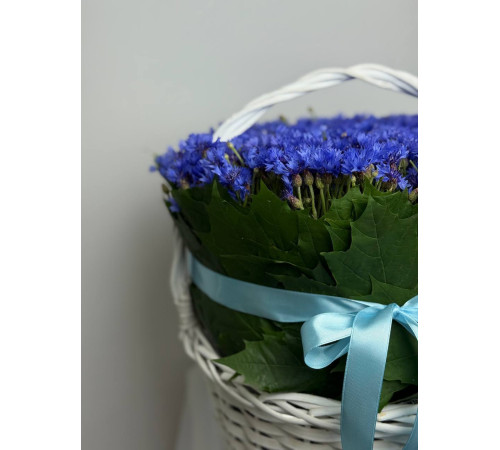 Корзинка васильков