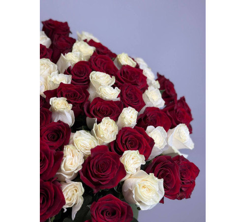 1000 и одна ночь