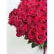 75 красных роз Explorer