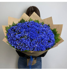 Небесная Лазурь