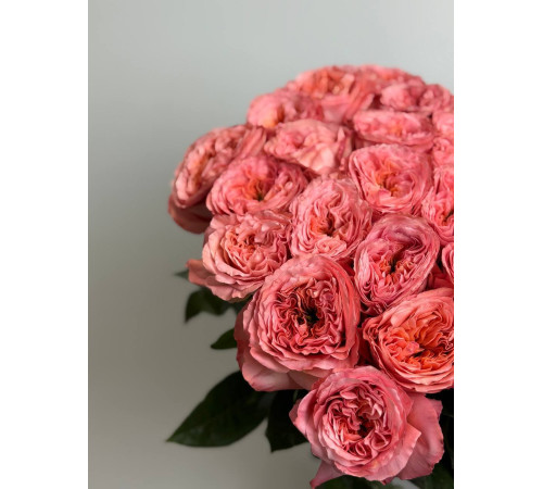 Персидская Королева