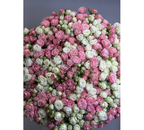 Рассветная нега