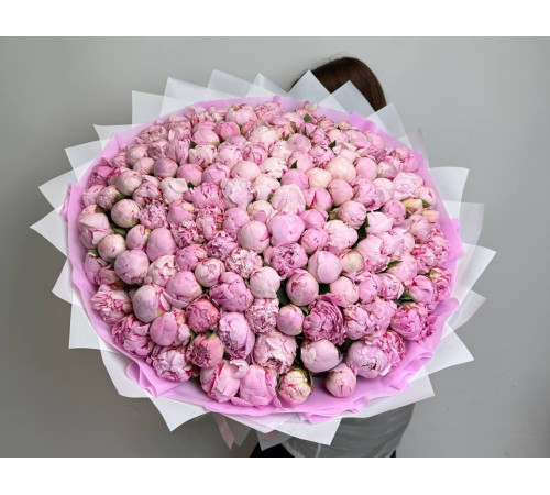 Потрясающая Сара