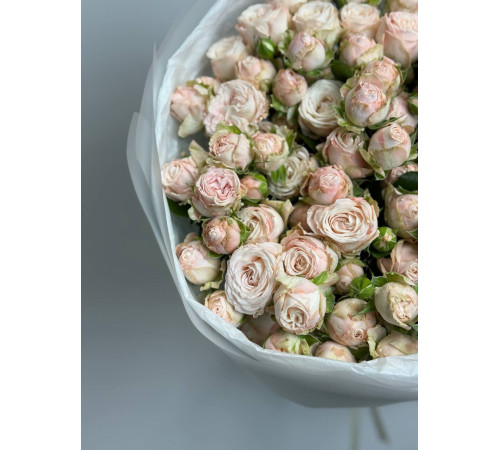 Молочная нежность