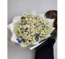 Полевые цветы