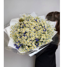 Полевые цветы